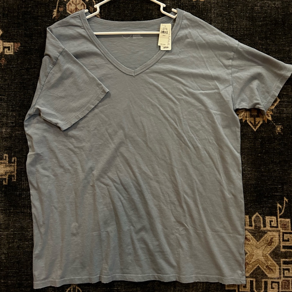 Aerie NWT V Neck Distressed Tee